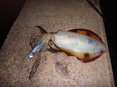 DSC00107