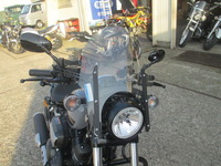 DS4 001