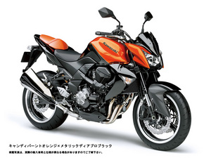 z1000-2009-or800