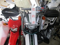 IMG_1847 (1)