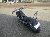 ds4 005