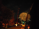 hanabi 006