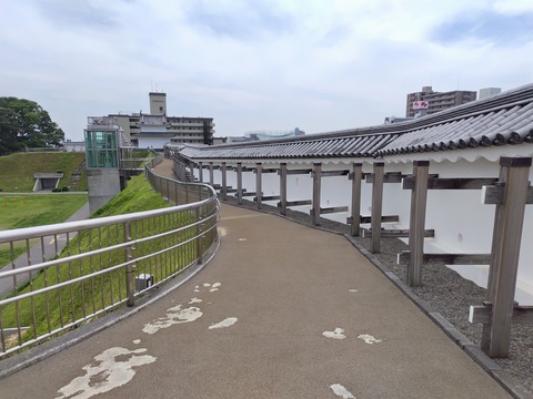 250607131415690