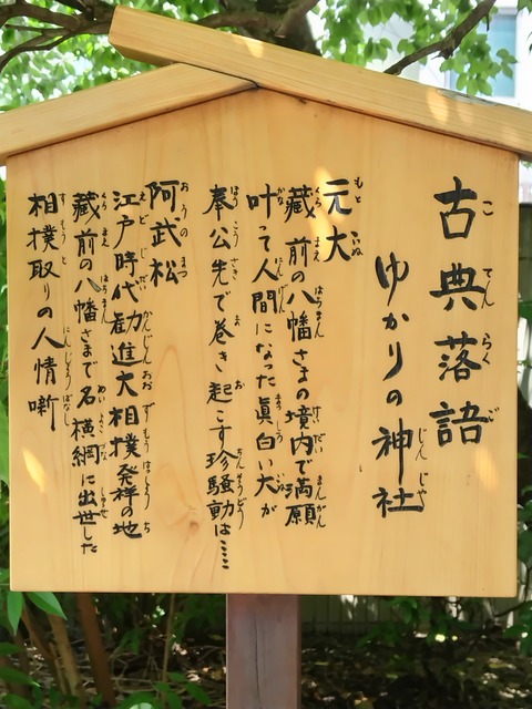 240524135957910