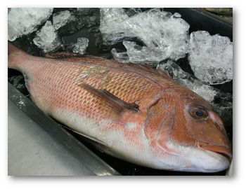 tai-fish
