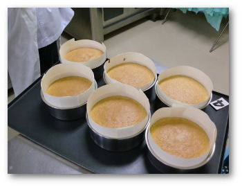 genoise-04