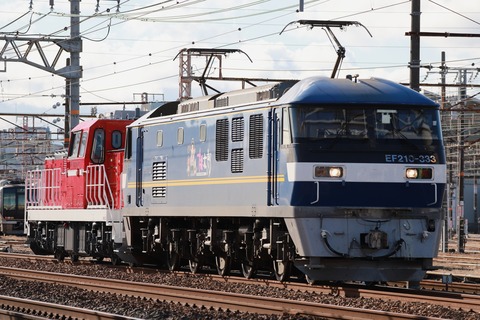 EF210-333+DD200-18_8660レ（甲196）