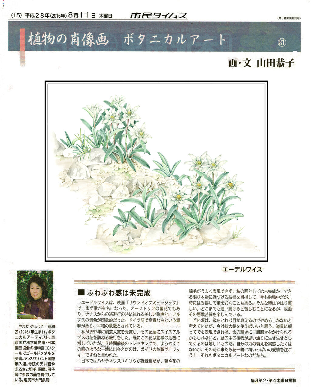 植物の肖像画 エーデルワイス 山田恭子のボタニカルアート 公式home 植物の肖像画 エーデルワイス 山田恭子のボタニカルアート 公式home