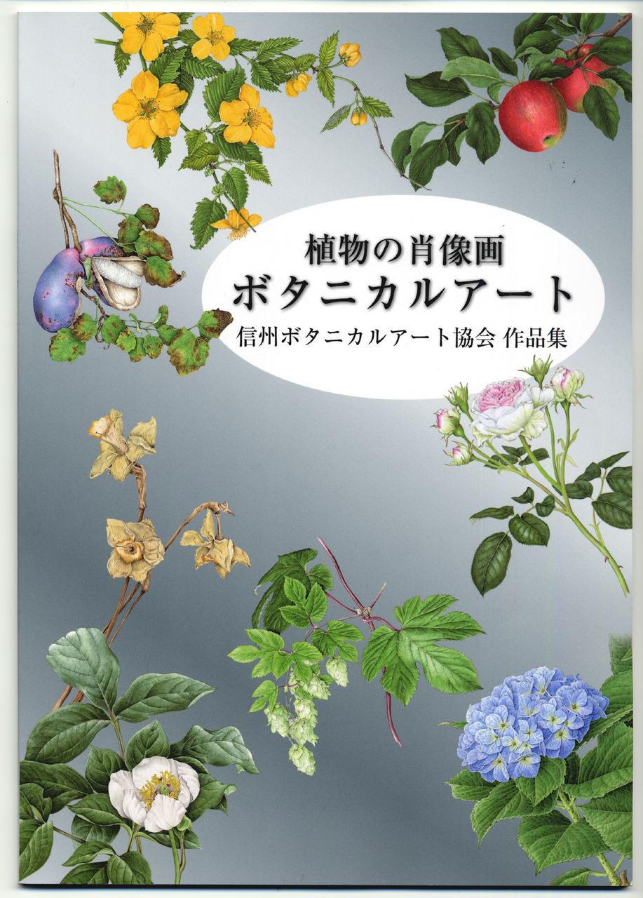 手数料安い ボタニカルアート 植物画 枇杷 原画 一点物 中山明子