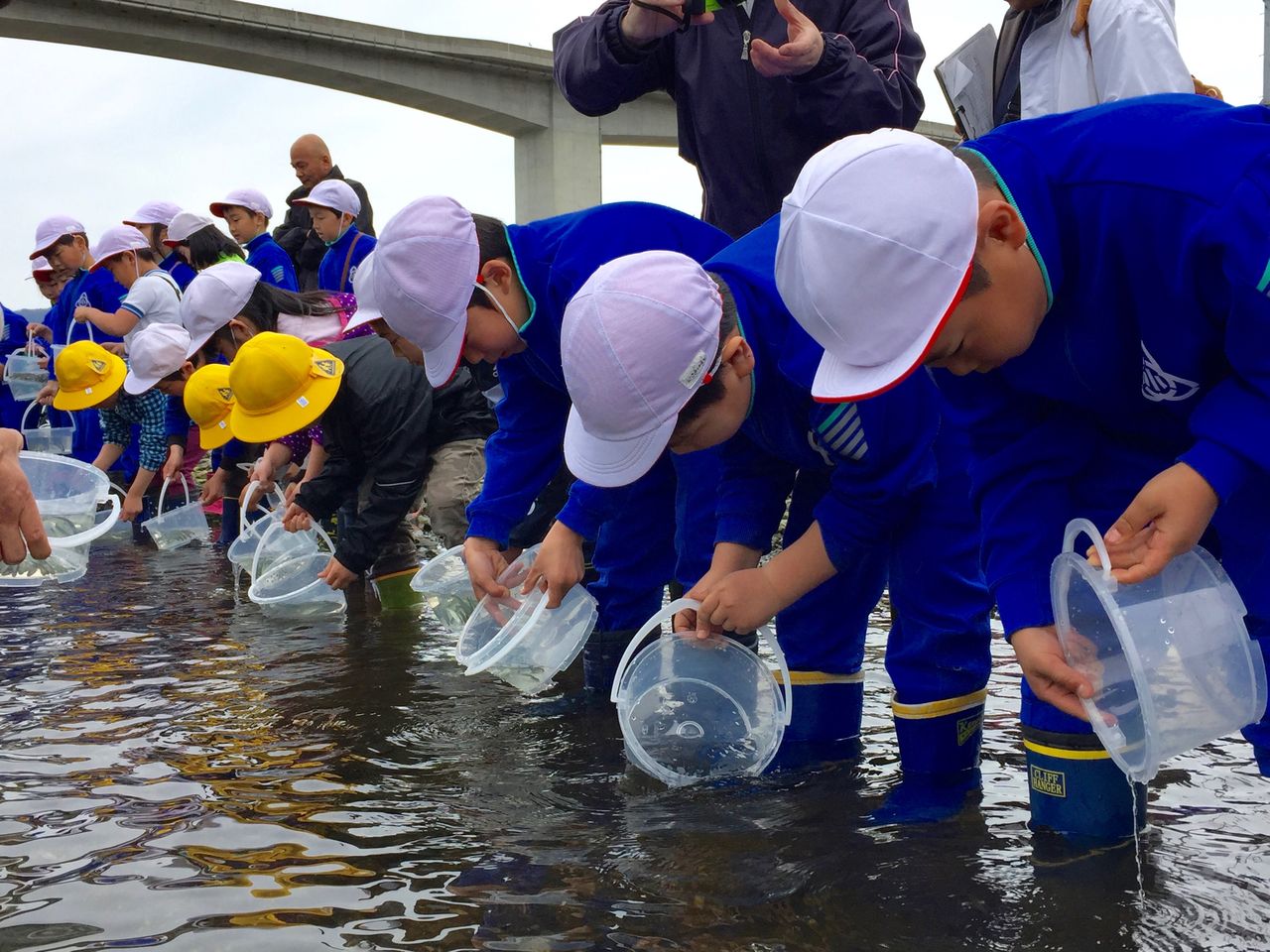 帰ってこいよ と 山田町内小学生が鮭の稚魚を放流 山田町に来るとこんなことできます