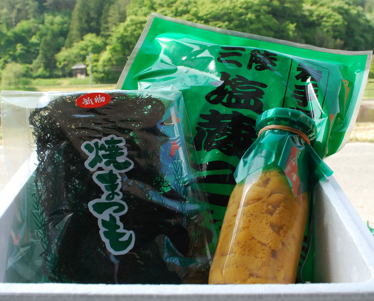 おらほのカゼ食べて 応援してけだんせ 山田町に来るとこんなことできます おらほのカゼ食べて 応援してけだんせ 山田町に来るとこんなことできます