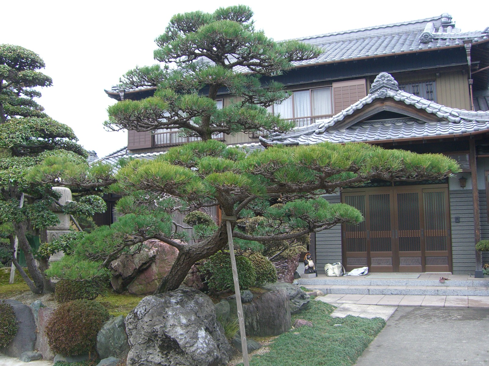 剪定 : にわとしの庭師日記