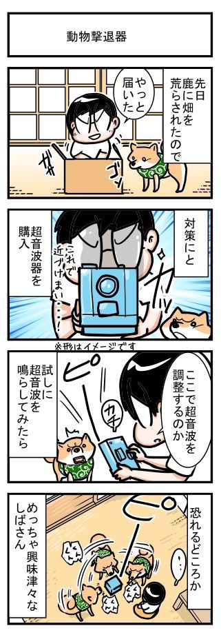 超音波