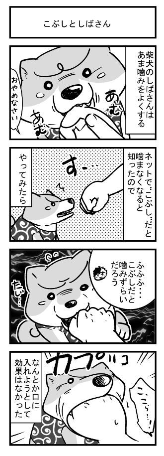 柴犬