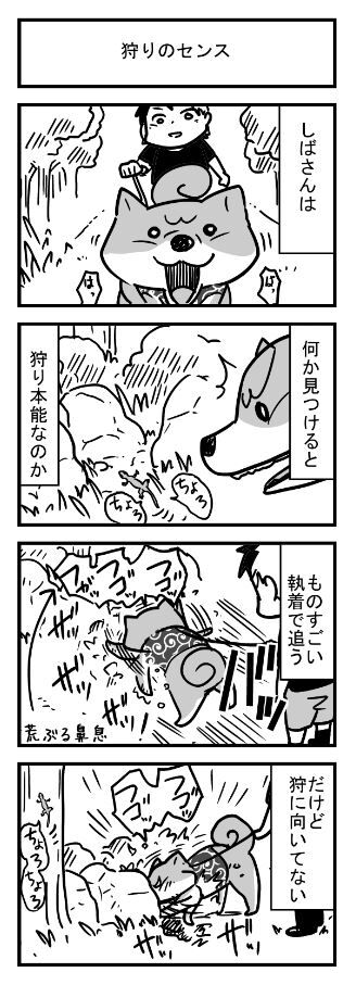 しばさん