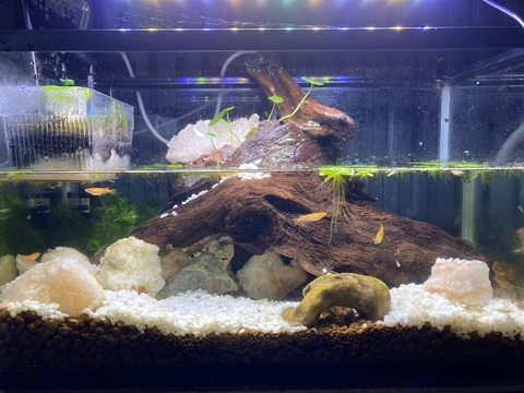 アクアリウム3