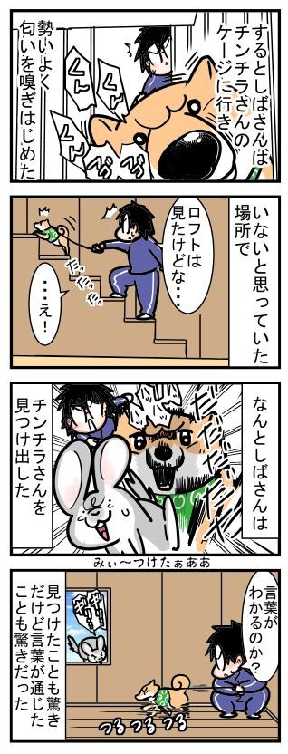 動物の知能②