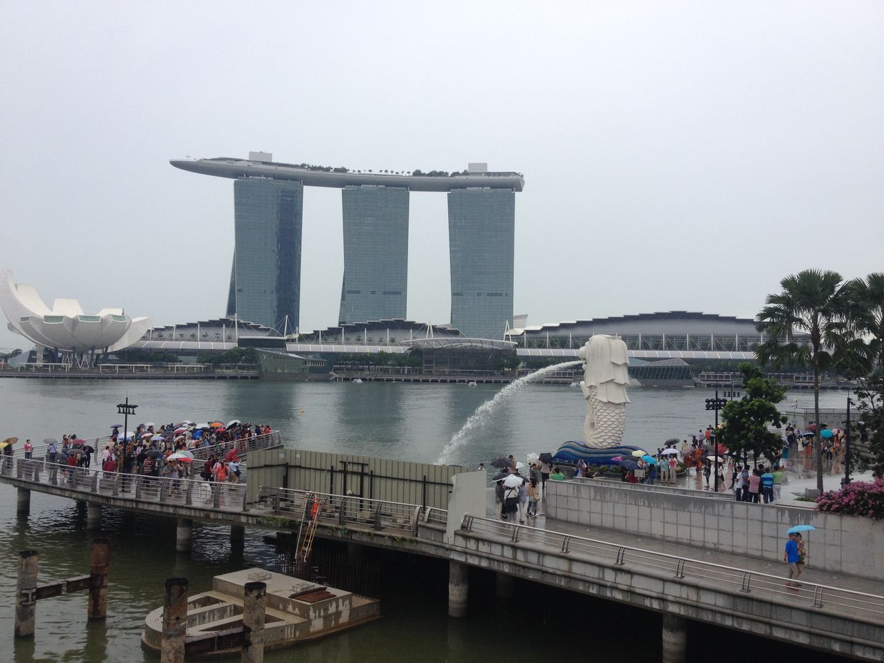 iphone¼Ì¿¿250927¥Ð¥Ã¥¯¥¢¥Ã¥× 072