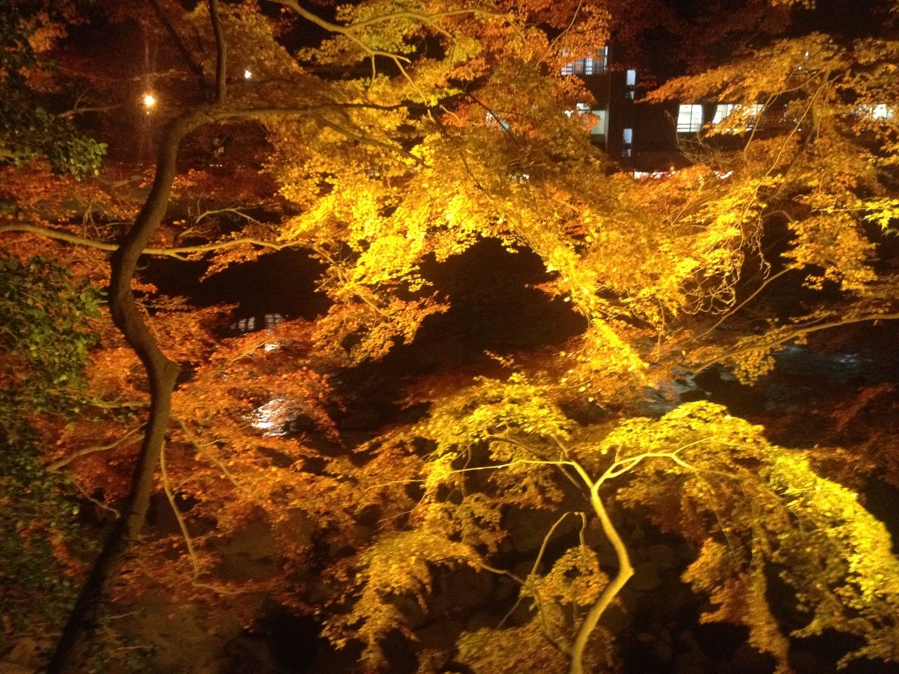 iphone�̿�250927�Хå����å� 111