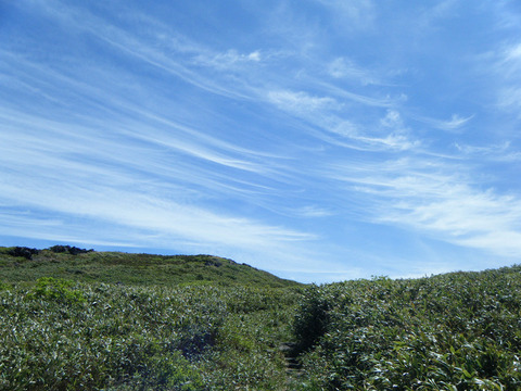 170624syougatake-000