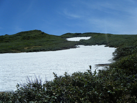 170624syougatake-002