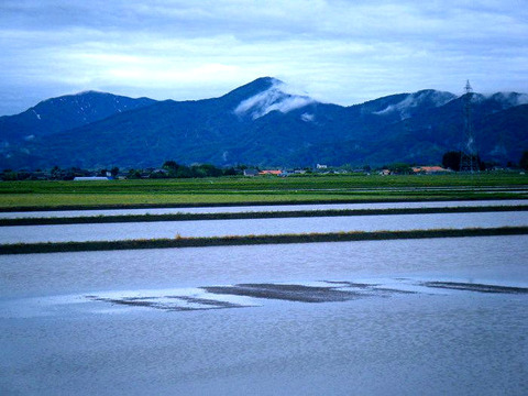 260525soba184-009