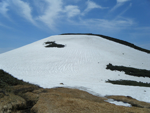 200531syougatake-005