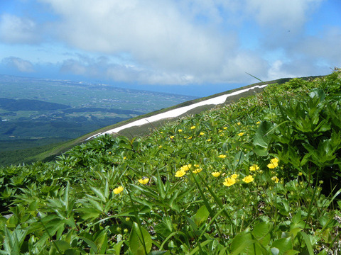 200621kawarajuku-002