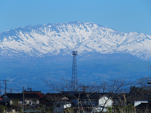 200508takadateyama-009