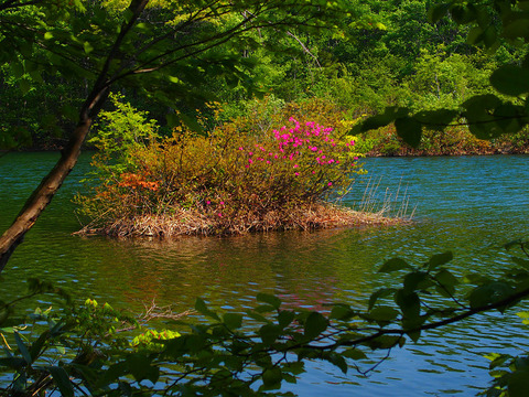 160520 00nagiyama-019