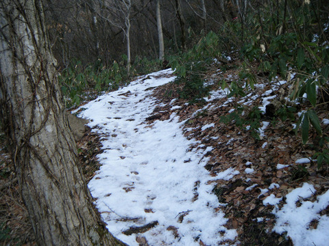 200126kyougakura-003