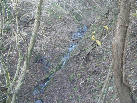 211203hiratayama-001