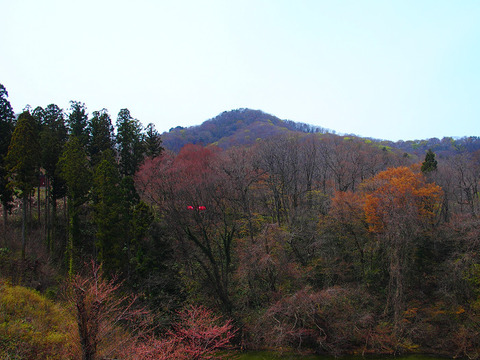 190414hatimoriyama-124