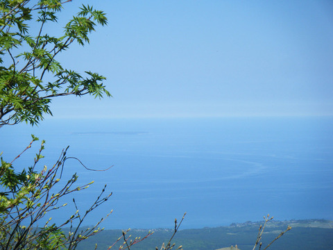 200531syougatake-001