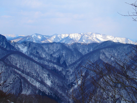 190222kopmasudayama-109