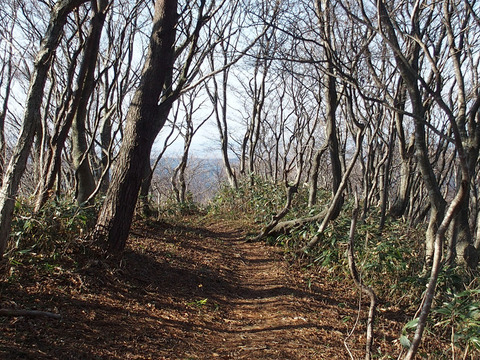 151122kyougakura-002