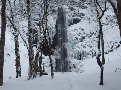 180106 tamasudare-003