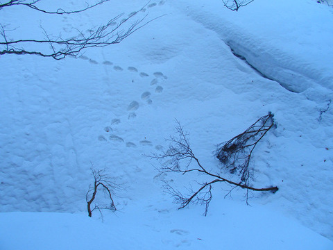 190222kopmasudayama-114