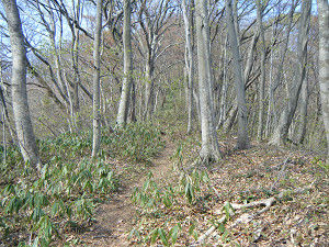 190414hatimoriyama-100