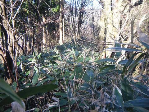 211203hiratayama-002