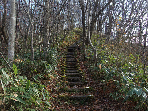 161126 kyogakura-005