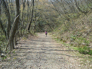 190414hatimoriyama-102