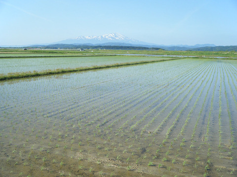 260525soba184-008
