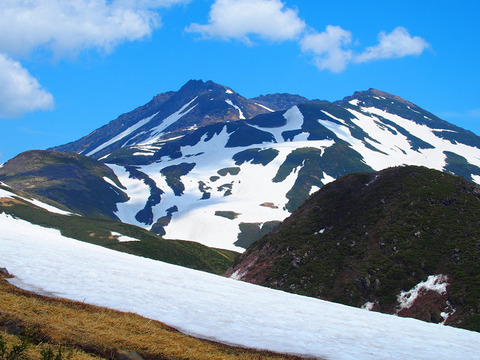 200531syougatake-007