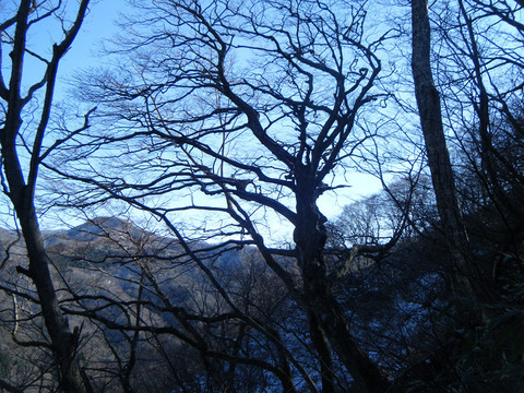 211203hiratayama-005