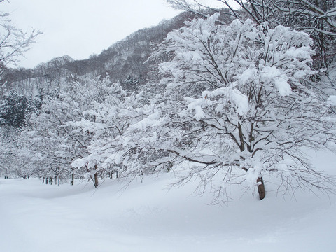 180106 tamasudare-001