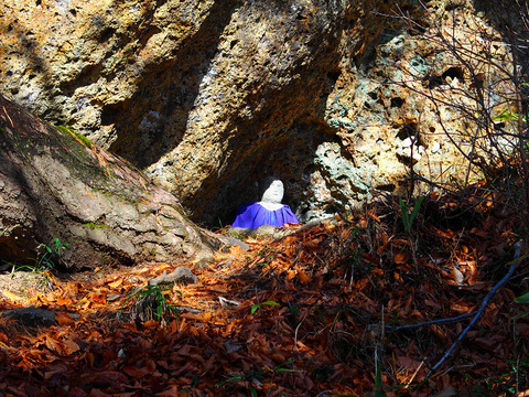 161126 kyogakura-008