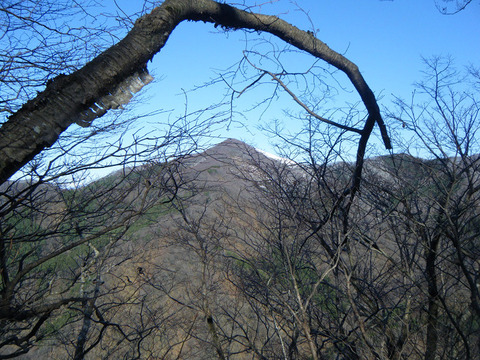 211203hiratayama-004