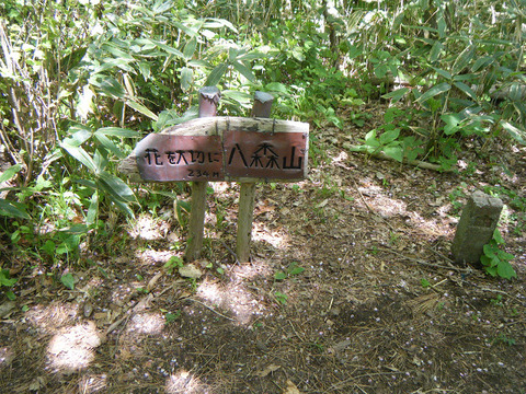 200508takadateyama-004