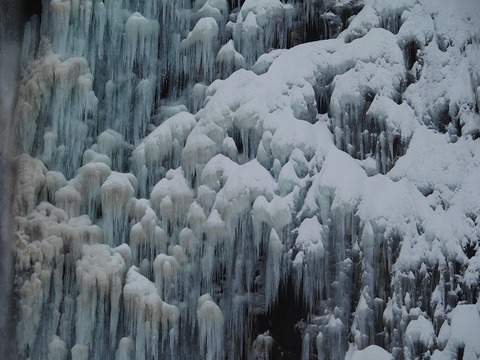 180106 tamasudare-005